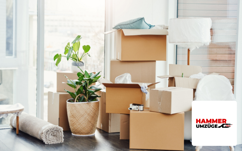 Hammer Umzüge Referenz, Umzugskartons Image 